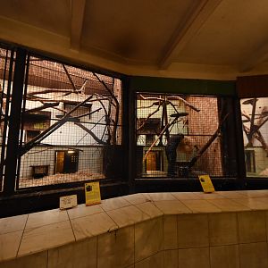 Monkey house - indoors