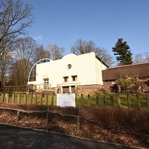 Tanganyika house - Hippo outdoors