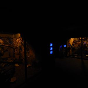 Tanganyika house - Night section