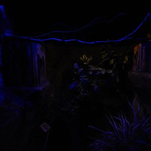 Tanganyika house - Senegal bushbaby enclosure