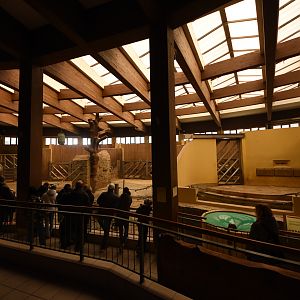 Elephant house - overview