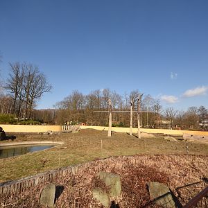Elephant outdoors - Main enclosure