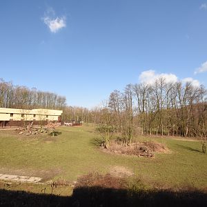 Savanna house - Grevy zebra + Beisa oryx outdoor