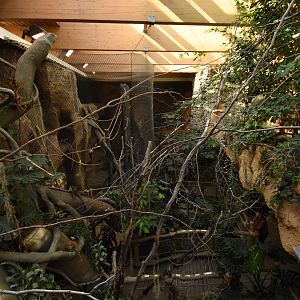 Evolution house - overview