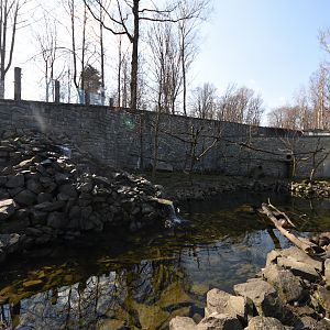 Chitwan - Binturong and Otter