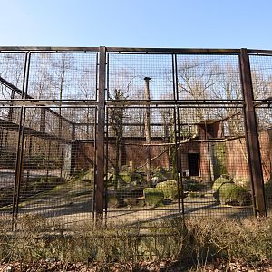 Chacoan mara enclosure