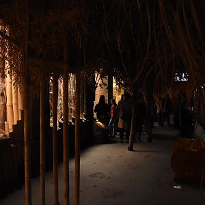 Cat house - overview