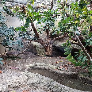 Exotarium:  Reticulate python