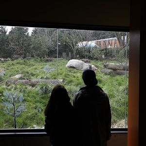 red wolf indoor viewing area