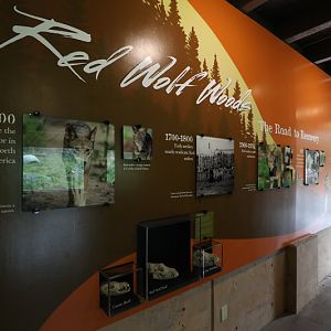 red wolf information graphics