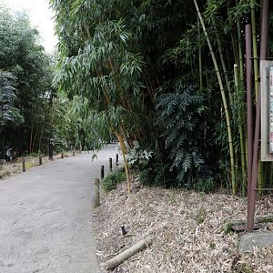 path to Asian exhibits