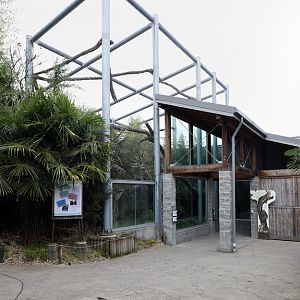 clouded leopard exhibit
