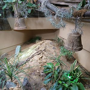 Interesting Heat Lamp Decoration