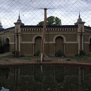 Waterfowl Exhibit on back of Rhino House