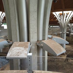 View from inside the Elephant House