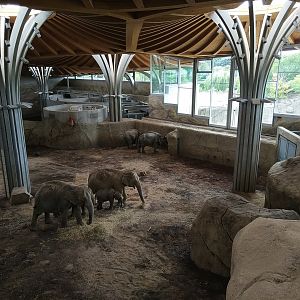 Asian Elephant Hosue