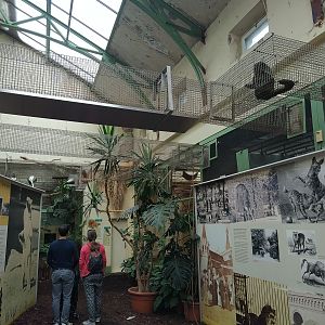 Inside the South American House