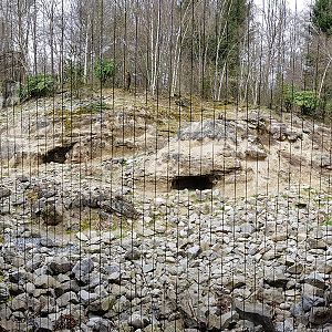 Snow leopard piano wire viewpoint panorama