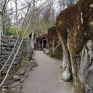 Snow leopard theming