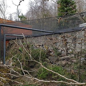 Parakeet and squirrel enclosure next to lion's house
