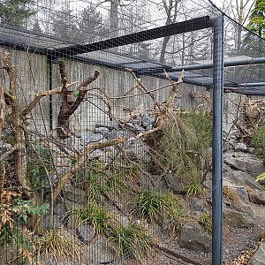 Parakeet and squirrel enclosure next to lion's house
