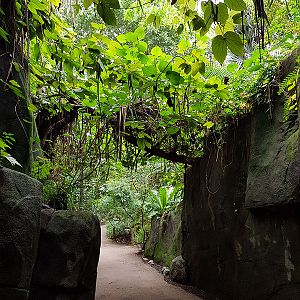 Masoala: Entrance cave