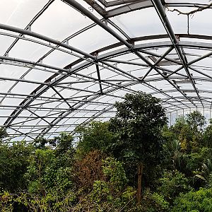 Masoala canopy panorama