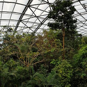 Masoala mid-level panorama