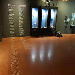 Masoala: Information center