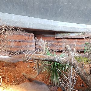 Australia: Perentie panorama