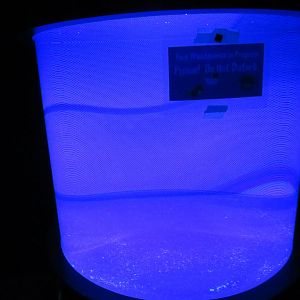 Current Status of Flashlight Fish Exhibit