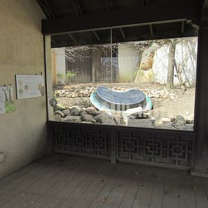 Pool Being Added to Musk Deer Exhibit (formerly Sika Deer)
