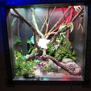 Larger New Exhibit Update in Curious Creatures