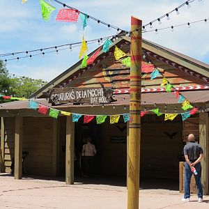 Bat House - Exterior