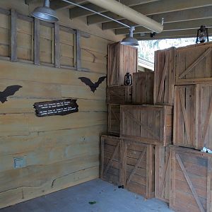 Bat House - Entry Area