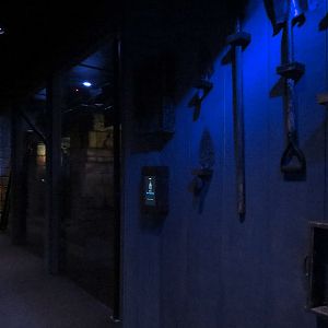 Bat House - Seba's Short-tailed Bat Exhibit