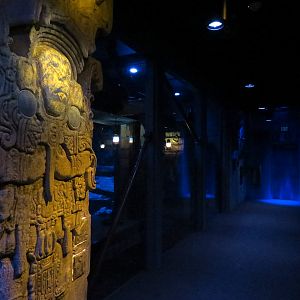 Bat House - Seba's Short-tailed Bat Exhibit