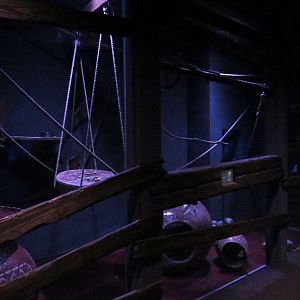 Bat House - Nancy Ma's Night Monkey Exhibit