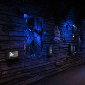 Bat House - Various Small Wall Exhibits
