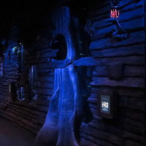 Bat House - Common Vampire Bat Exhibit