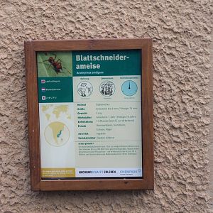 Sign Leaf-cutting ant