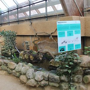 Enclosure Leaf-cutting ant