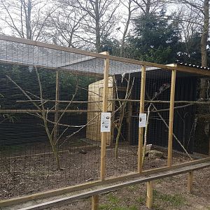 Galah - Cockatail - Regent parrot aviary