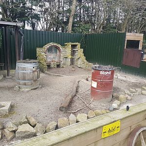 Prairie-dog enclosure