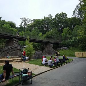 Public Bicycle Overpass
