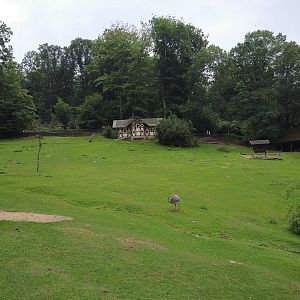 South American Valley