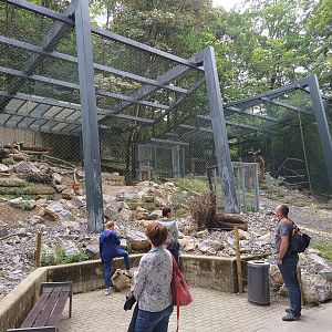New Snow Leopard Enclosure