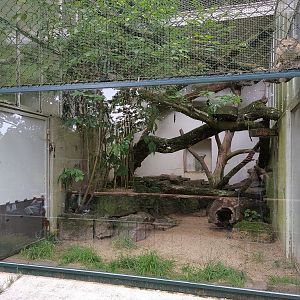 Small Cat House Outdoor Exhibit