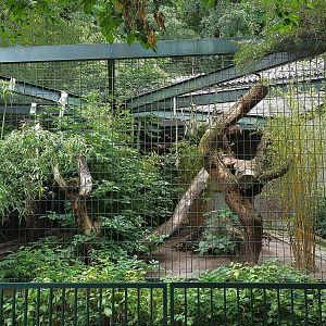 Big Cat House Outdoor Exhibit