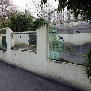 Enclosure Black-tailed prairie-dog